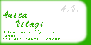 anita vilagi business card